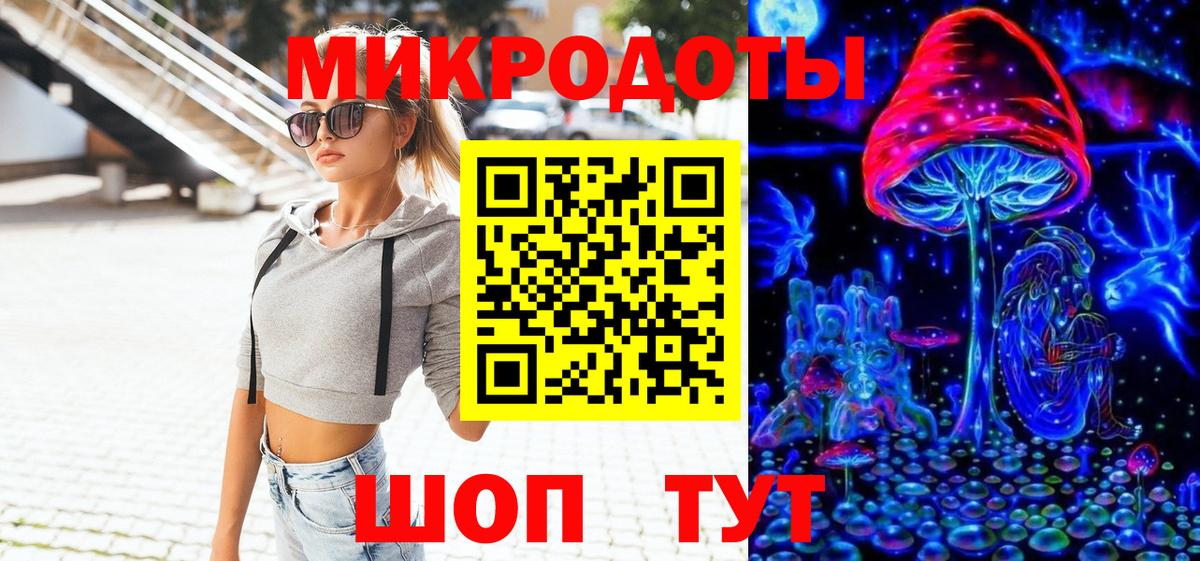 Псилоцибиновые грибы Psilocybine cubensis Кашира