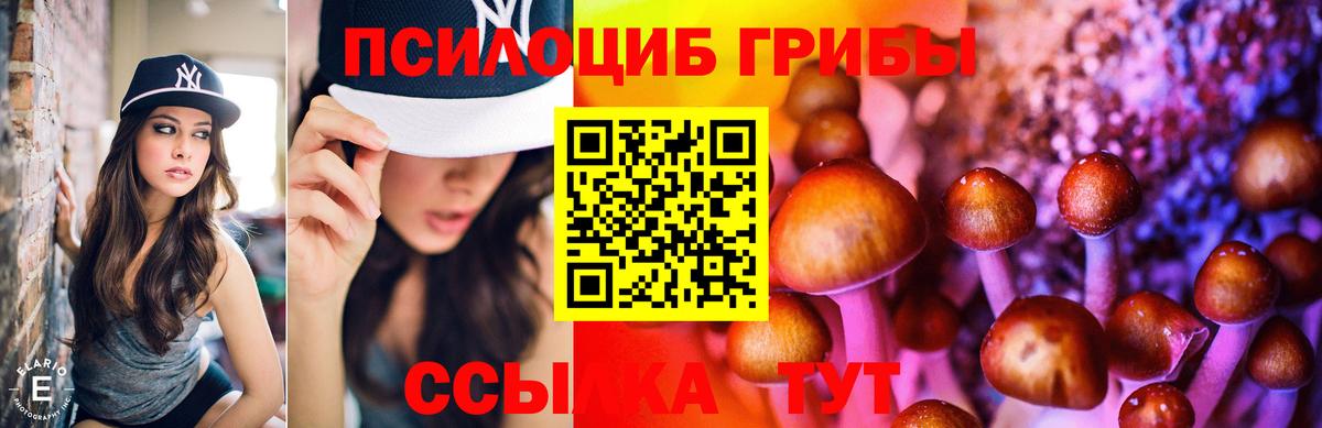Галлюциногенные грибы Psilocybe  Вход с VPN  Галлюциногенные грибы Psilocybe  Кашира 